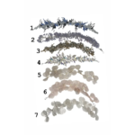 Elegant Head Accessory