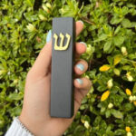 BLACK+ Gold Traditional Shin Design