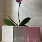 Beautiful Vatitpallel Hannah Womens Siddur