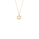 Gold Star of David Charm Necklace